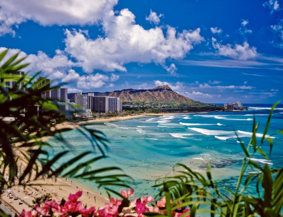 Diamond Head View Close To Waikiki Beach With Parking Honolulu Esterno foto